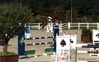 Baltic Cup Sørlandsparken Rideklubb 31.08.-03.09.2017